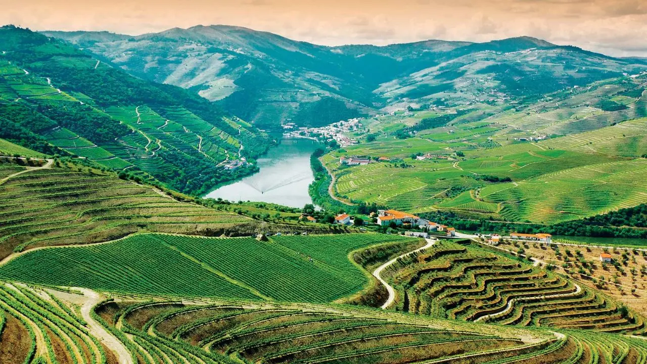 Douro Valley - The Enchanted Valley Private Full Day Experience