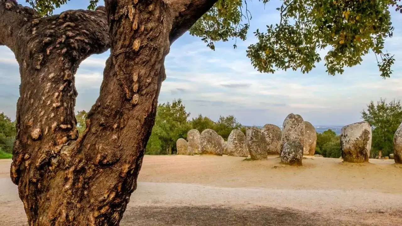 Évora or Wine Alentejo Tour