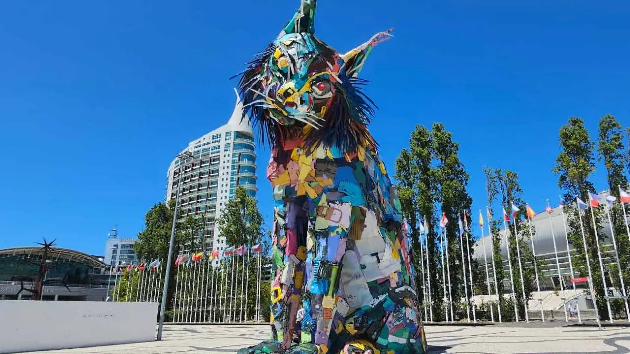 Lisbon Urban Art: Walls That Speak - Full Day Tour