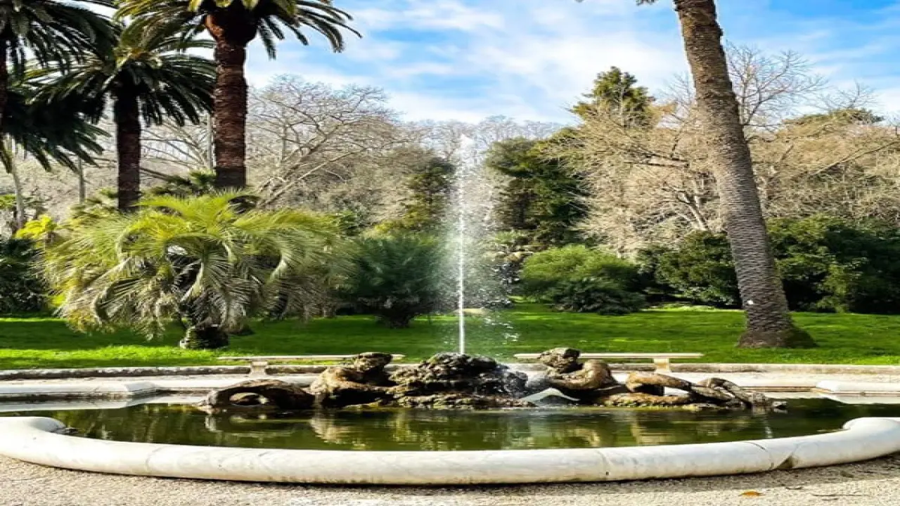 Garden Escape: The Botanical Garden of Rome